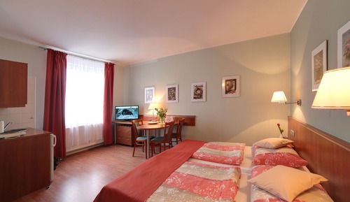 Classic Double Room Single Use, 1 Bedroom, Kitchenette
