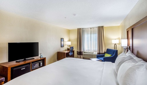 Room, 1 King Bed, Accessible, Non Smoking (Roll-In Shower)