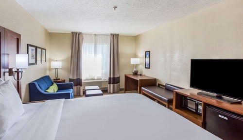 Standard Room, 1 King Bed, Non Smoking (Sofa)