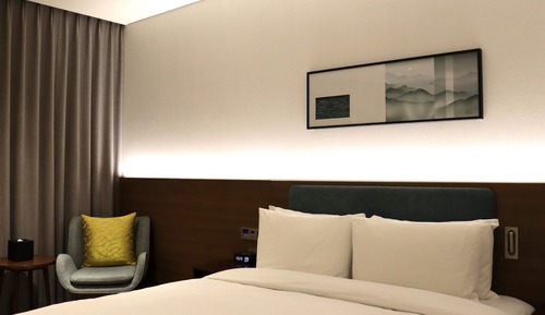 Room, 1 King Bed