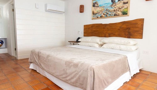 Partial Ocean View King