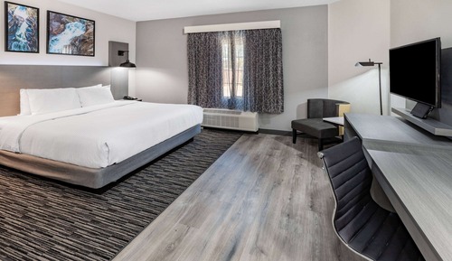 Room, 1 King Bed, Non Smoking