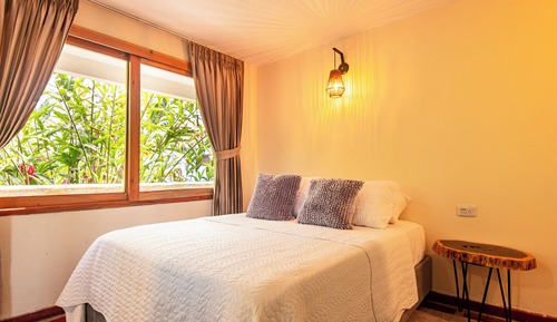 Basic Double Room