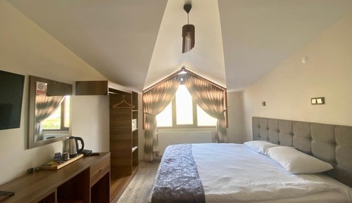 Roof Standard Room