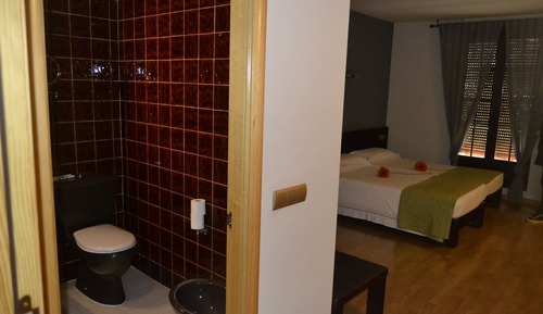 Basic Double or Twin Room