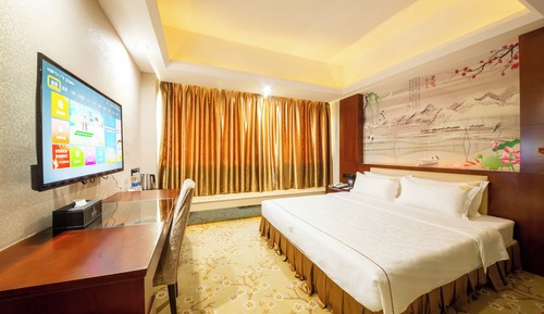 Superior Single Room