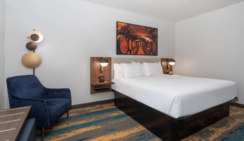 Room, 1 King Bed, Non Smoking