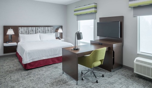 Studio, 1 King Bed, Accessible, Non Smoking (Mobility & Hearing, Roll-In Shower)