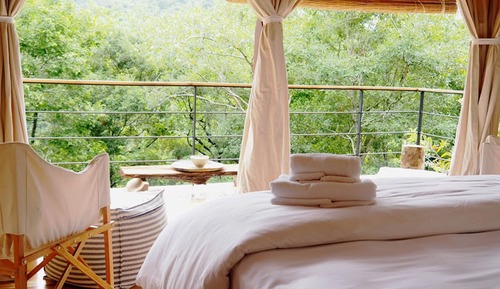 Forest Pavilions