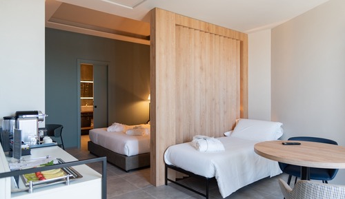 Deluxe Double or Twin Room