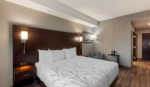 Standard Room, 1 King Bed, Accessible, Non Smoking