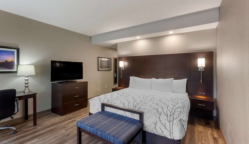 Standard Room, 1 King Bed, Non Smoking, Refrigerator & Microwave (Larger Room)