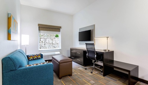 Suite, 1 King Bed with Sofa bed, Accessible, Non Smoking (Efficiency)