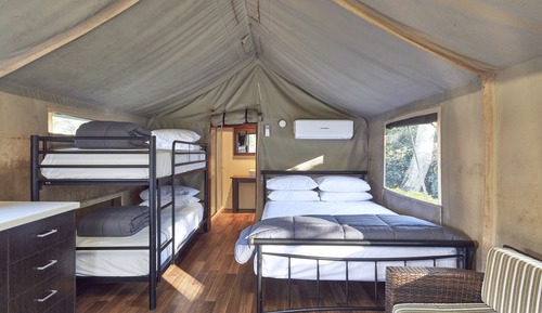 Safari Palm Tent