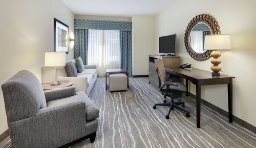 Suite, 1 King Bed with Sofa bed