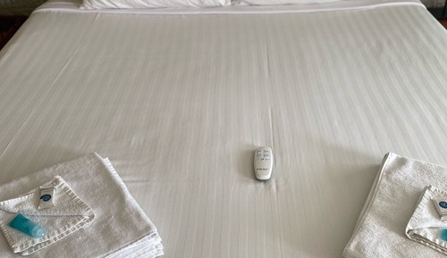 Room, 1 King Bed