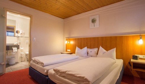 Double Room (Category C)