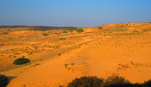 Standard Double Room, Balcony (Dune)