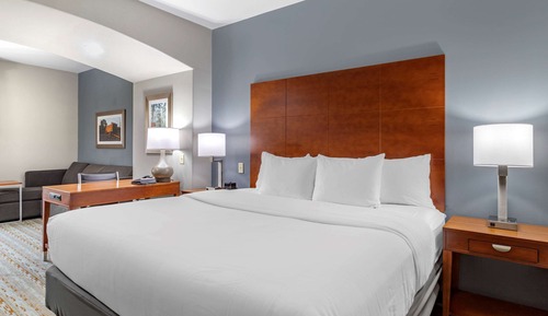 Suite, 1 King Bed with Sofa bed, Non Smoking