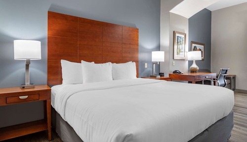 Standard Room, 1 King Bed, Non Smoking