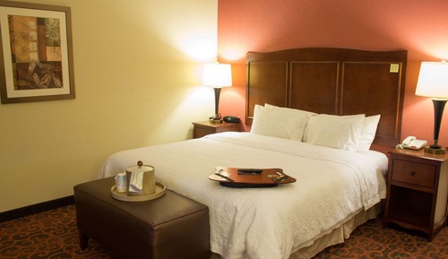 Room, 1 King Bed, Non Smoking