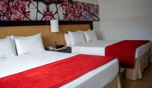 Room, 2 Double Beds