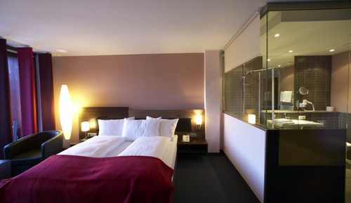 Standard Double Room, Balcony, Mountain View