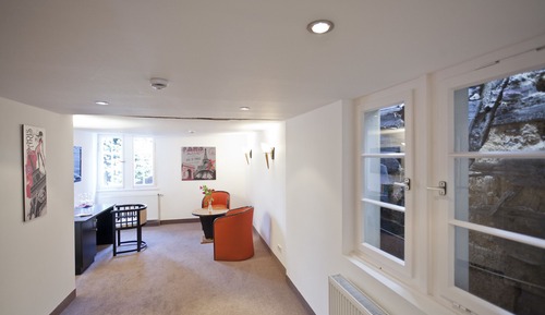 Business Double Room, Annex Building