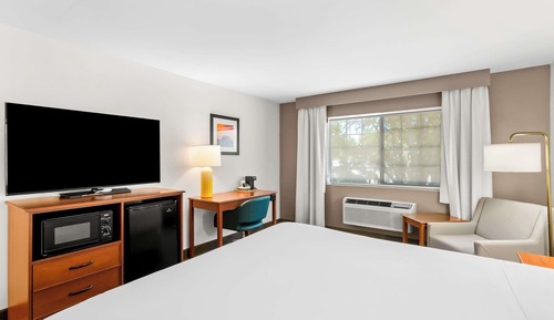 Suite, 1 King Bed, Non Smoking