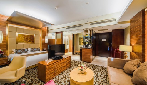 Economy Suite, 1 King Bed, City View