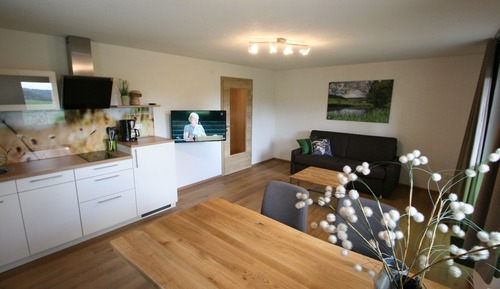Comfort Apartment, 1 Bedroom, Kitchen