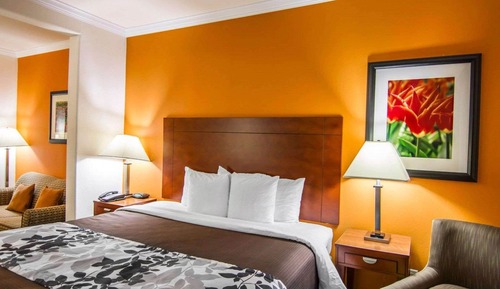 Suite, 1 King Bed with Sofa bed, Non Smoking