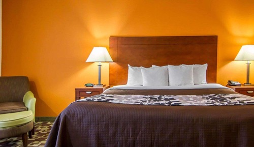 Standard Room, 1 King Bed, Non Smoking