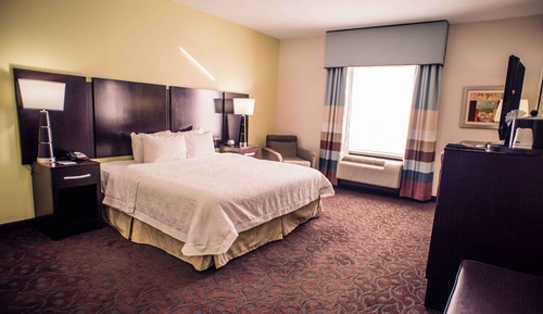 Room, 1 King Bed, Accessible