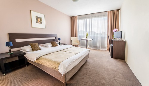Superior Double Room Single Use, 1 Queen Bed
