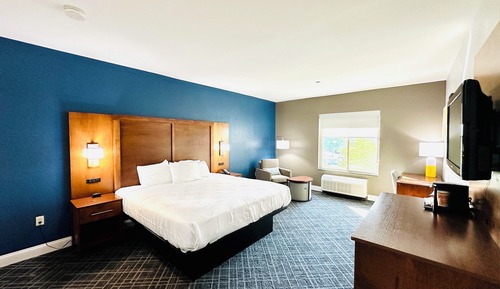 Room, 1 King Bed, Accessible, Non Smoking (Roll-In Shower)