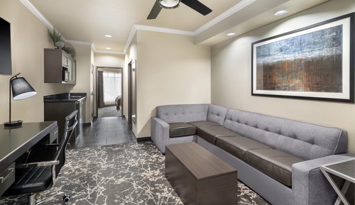 Suite, 1 King Bed, Non Smoking, Refrigerator & Microwave (with Sofabed)