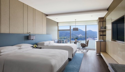 Room, 1 King Bed