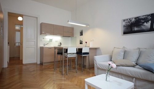 Comfort Apartment