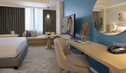 Executive Studio