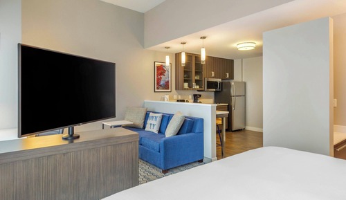 Studio, 1 King Bed with Sofa bed