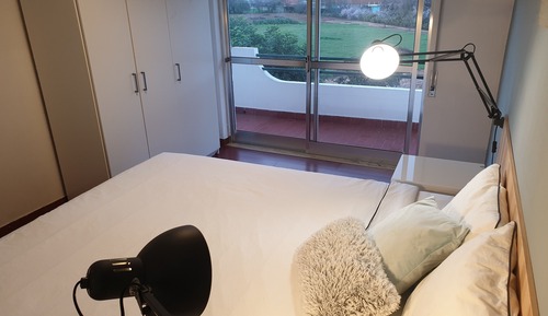 Apartment, 1 King Bed with Sofa bed