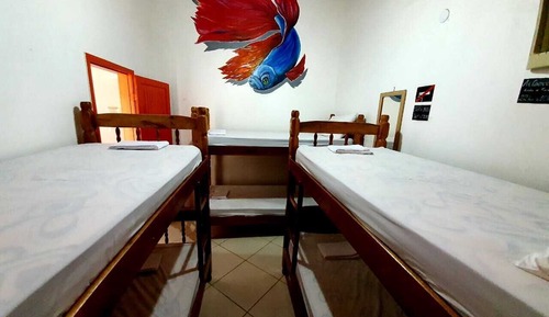Basic Shared Dormitory (Beta)