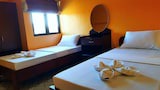 Standard Double Room, Accessible, Non Smoking