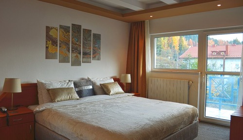 Comfort Room, 1 King Bed, Mountain View (no.7)
