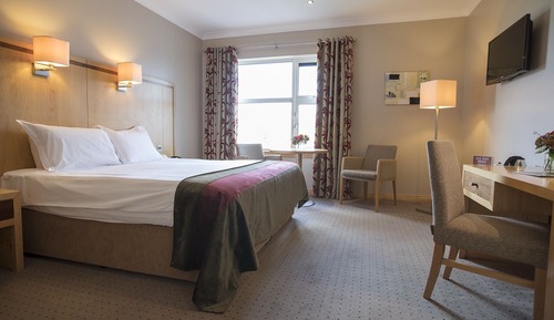 Double Room Single Use, 1 Double Bed