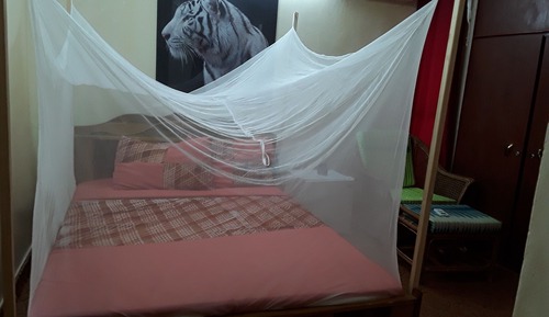 Classic Double Room Single Use, 1 Bedroom, Roll-in Shower, Non Smoking