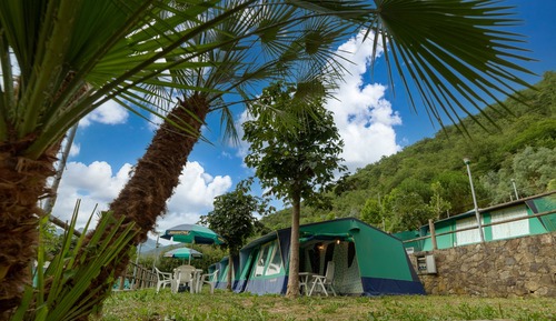 Family Tent