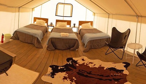 Homestead Tent | 3 single