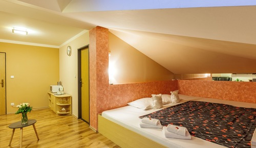 Double Room, 1 King Bed